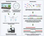 Metagenomics vs. total RNA-Seq for SSU assembly