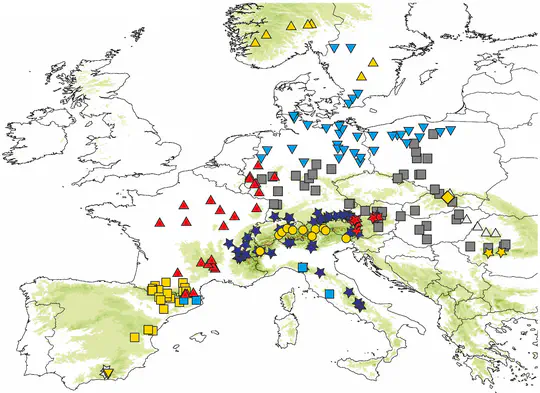 Geographic distance and mountain ranges structure freshwater protist communities on a European scalе